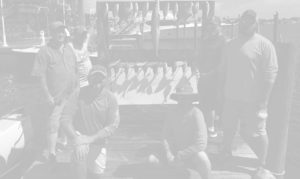 Cheap Fishing Charters In Destin