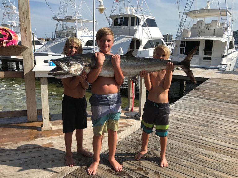 850 CHARTERS Destin Florida Fishing Charters 850 Charters